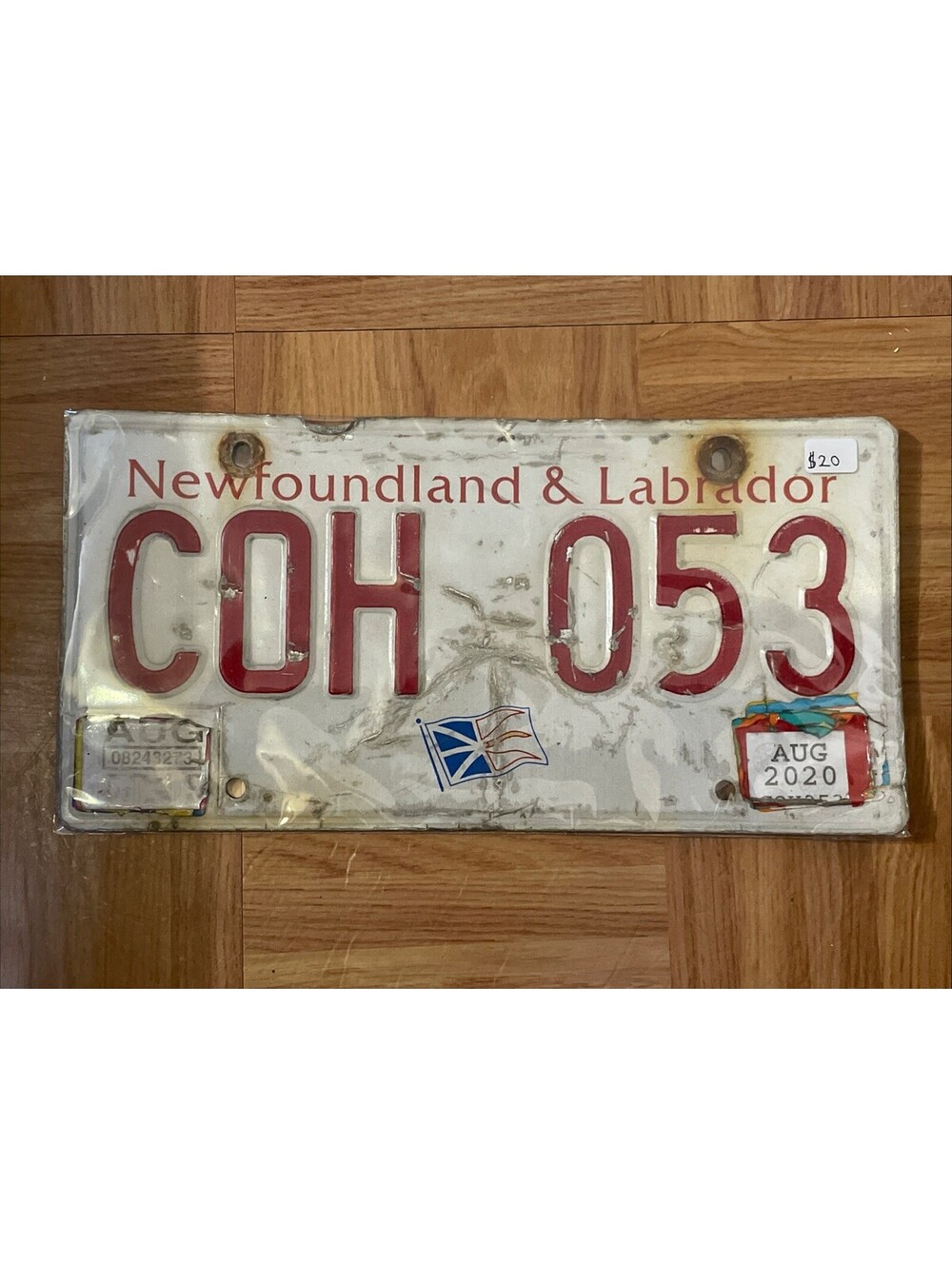 Newfoundland License Plate (Expired) Labrador Canada Picture Plant 2020 COH 053